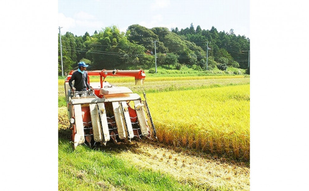 【ふるさと納税】お米　令和7年産　出雲コシヒカリ5kg