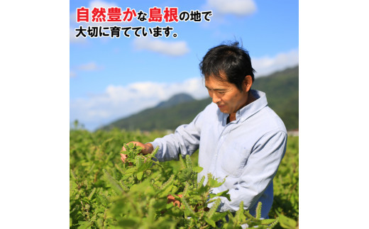 島根県産えごま油