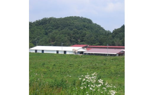 藤増 しまね和牛ロース スライス 900ｇ【冷凍】