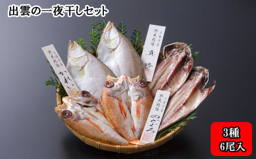 出雲の一夜干しセット