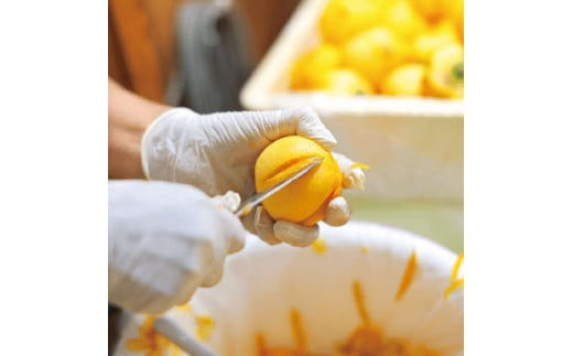 縺励≠繧上○譟ソ縲蟷イ縺苓・ソ譚。譟ソ