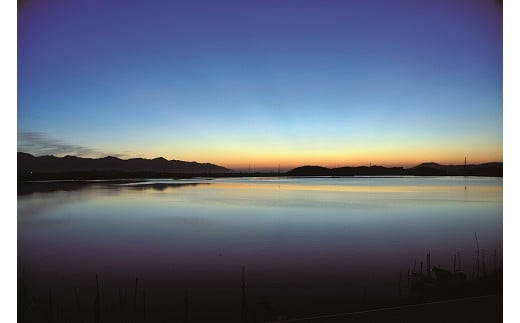 ぷっくり大きな身！食べて美味しい！神西湖産大和しじみ