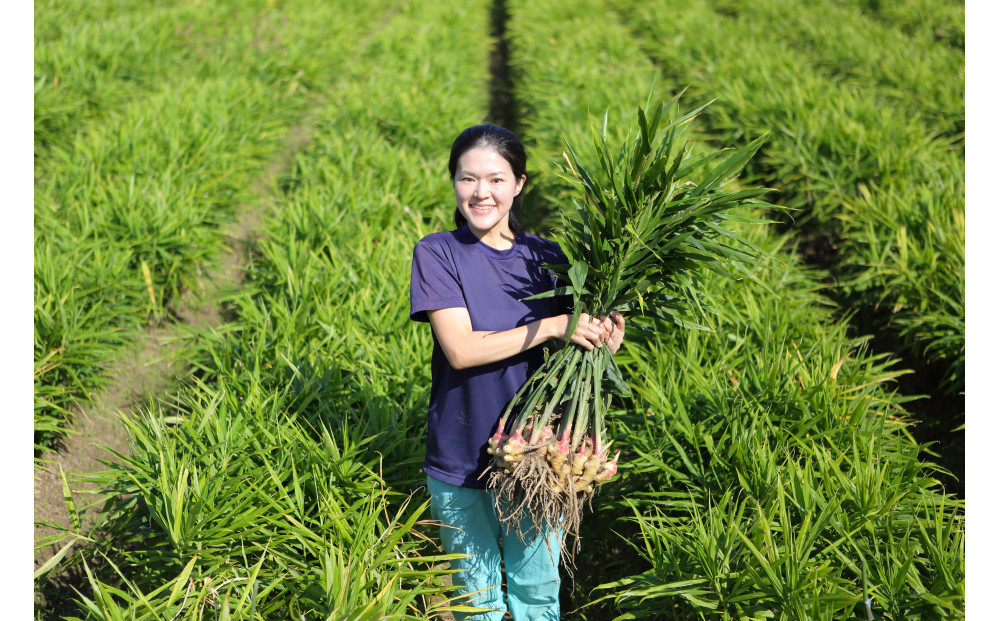 出雲生姜ぽかぽかセット
