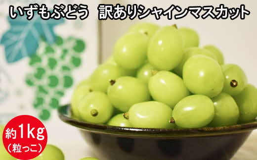 【2026年7月下旬以降発送】いずもぶどう 訳ありシャインマスカット（粒っこ）1kg見当 新鮮 甘い フルーツ 果物