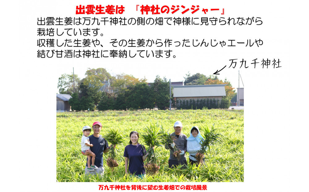 出雲生姜じんじゃエール１０本セット