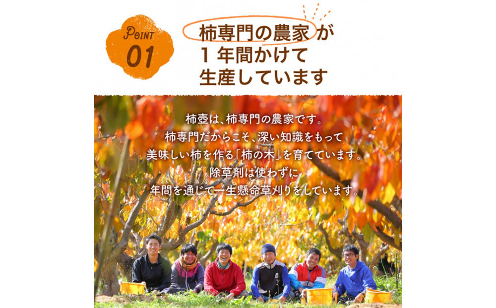 【全4回定期便】【柿専業の農家が作る】出雲の柿3種と旬をたのしむごほうび【2026年10月以降発送】