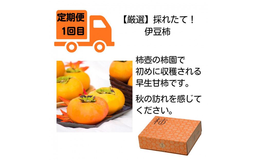 【全4回定期便】【柿専業の農家が作る】出雲の柿3種と旬をたのしむごほうび【2026年10月以降発送】