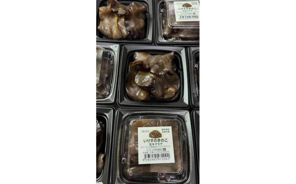 いりすのきのこ 生きくらげ（70g×4パック）