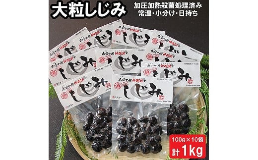 出雲の國　神西湖のしじみ