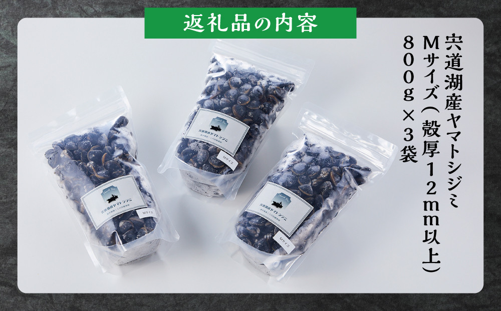 漁師直送！宍道湖産ヤマトシジミ・Mサイズ冷凍2.4kg