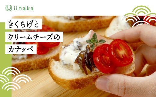 蜃コ髮イ蟶ら肇逕溘″縺上i縺