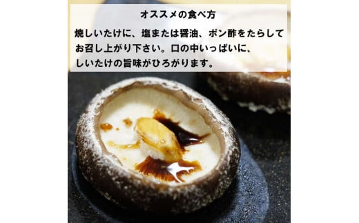 譛晄治繧頑眠魄ョシ∝蜴壹>縺励>縺溘¢縲繝√ン縺励>縺溘¢繧サ繝繝