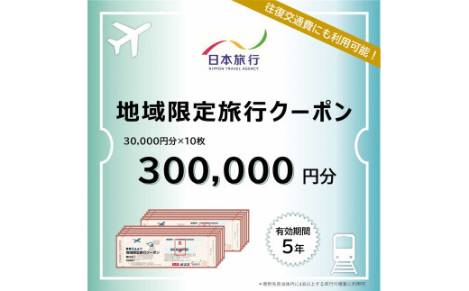 島根県出雲市　日本旅行　地域限定旅行クーポン300,000円分
