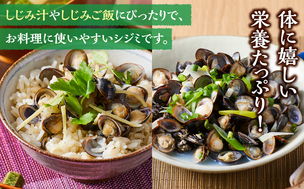 漁師直送！宍道湖産ヤマトシジミ・Mサイズ冷凍2.4kg