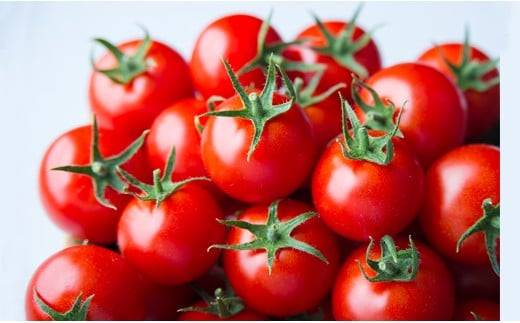 åºé²ã®åããã®èŽãç©ïœè¶
ãããïŒkgïŒãžã¥ãŒã¹ïŒæ¬