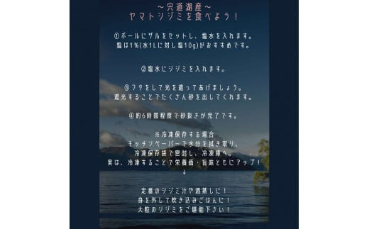 日本一！しまねのヤマトシジミ！Ｌサイズ