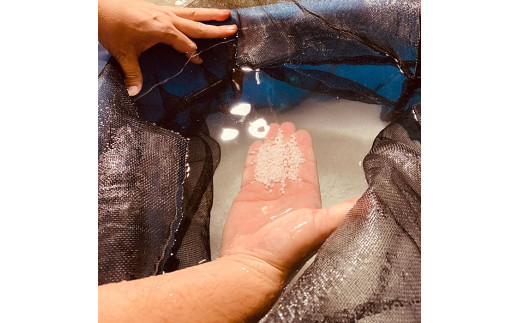 åºé²å¯å£«ãçŽç±³åéžã»ç¹å¥çŽç±³ã»çŽç±³äžåç¶5æ¬ã»ãã