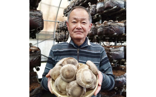 譛晄治繧頑眠魄ョシ∝蜴壹>縺励>縺溘¢縲繝√ン縺励>縺溘¢繧サ繝繝