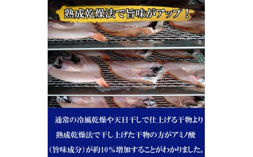 蜃コ髮イ縺ョ荳螟懷ケイ縺励そ繝繝