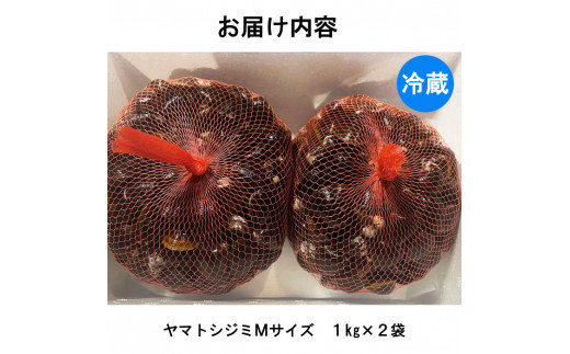 日本一！しまねのヤマトシジミ！Мサイズ