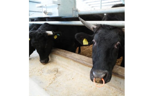 阯、蠅 縺励∪縺ュ蜥檎央繝「繝「 繧ケ繝ゥ繧、繧ケ 700g縲仙キ蜃阪