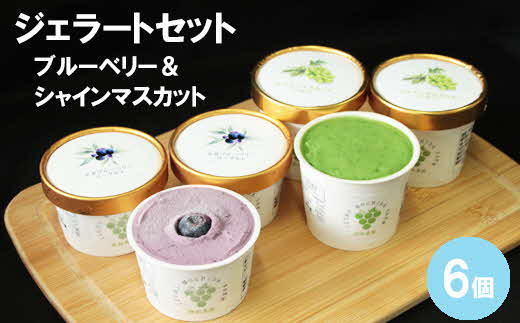 [農家直送]ジェラートミックス　ブルーベリー＆シャインマスカット［持田農園］