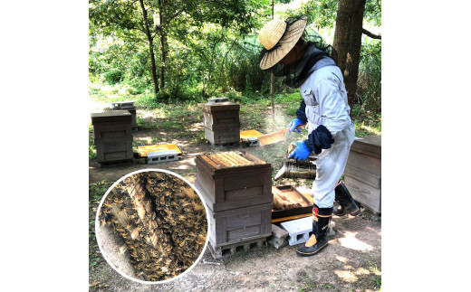 「出雲はちみつ」こだわりの山蜜　縁花蜜と百花蜜の3個セット