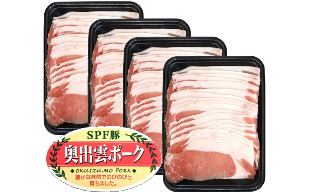 奥出雲ポークローススライス 計1200g