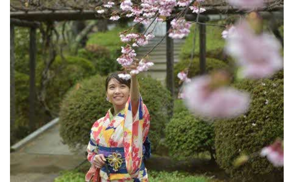 çç©ã¬ã³ã¿ã«çä»ããããã®éžã¹ããã©ã³