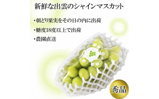 【2026年9月下旬以降発送】[農家直送]厳選シャインマスカット2kg箱[持田農園]