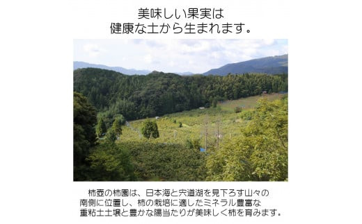 【柿専業の農家が作る】出雲産甘柿のドライフルーツ