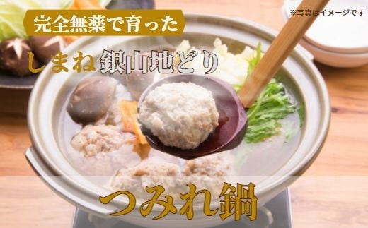 完全無薬で育った 銀山地どりの『つみれ鍋』2～3人前