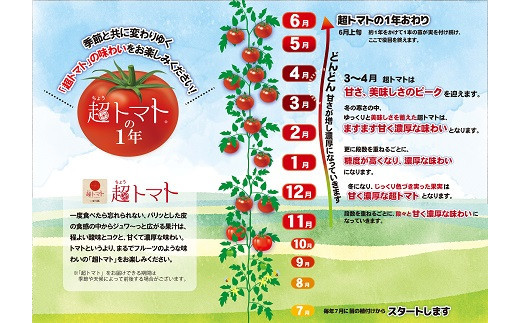 åºé²ã®åããã®èŽãç©ïœè¶
ãããïŒkgïŒãžã¥ãŒã¹ïŒæ¬