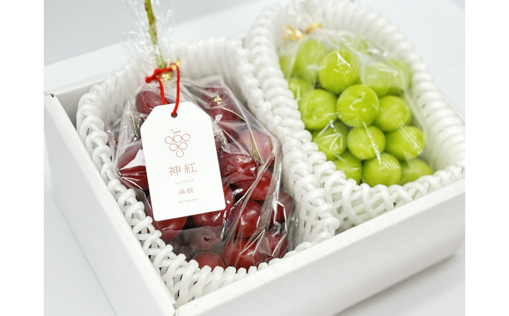 ã2026幎7æçºéãåºé²çŽ
çœããã¬ã®æ¥ã»ããïŒç¥çŽ
ïŒã·ã£ã€ã³ãã¹ã«ããïŒ