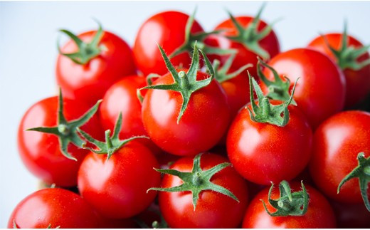 出雲の國からの贈り物～トマトを超えた超トマト２kg