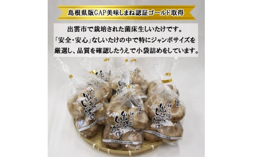 逾槭縺ョ蝗ス縲蜃コ髮イ縺励>縺溘¢繧ク繝」繝ウ繝懃函縺励>縺溘¢隧ー蜷医○