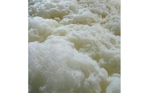 出雲大社御神酒 八千矛セット（純米大吟醸・純米吟醸）