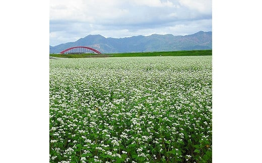 縲仙コ髮イ蜷咲黄縲大コ髮イ縺昴ー繧サ繝繝(2鬟溷・繝サ縺、繧莉佚暦シ苓「)