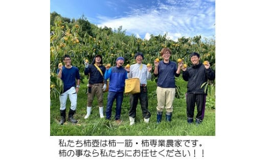 【柿専業の農家が作る】柿三昧セット
