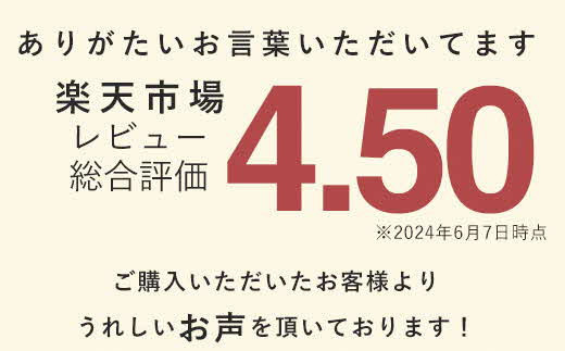【高さ調節可能】マイスターピロー匠 枕 まくら 低反発 ストレートネック 横向き寝 低い 柔らかい