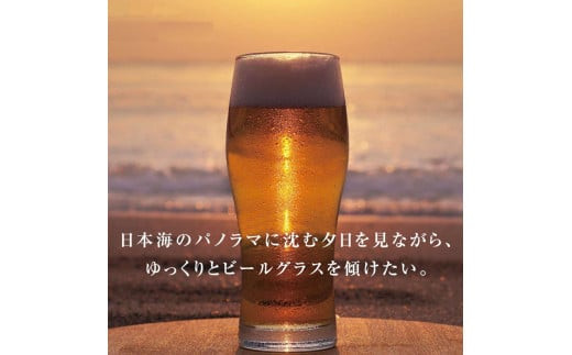 クラフトビール6種詰め合わせセット