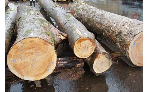 出雲大社ゆかりの縁起物　福こづち5号