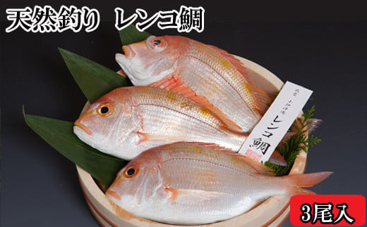 天然釣りレンコ鯛（下処理済）