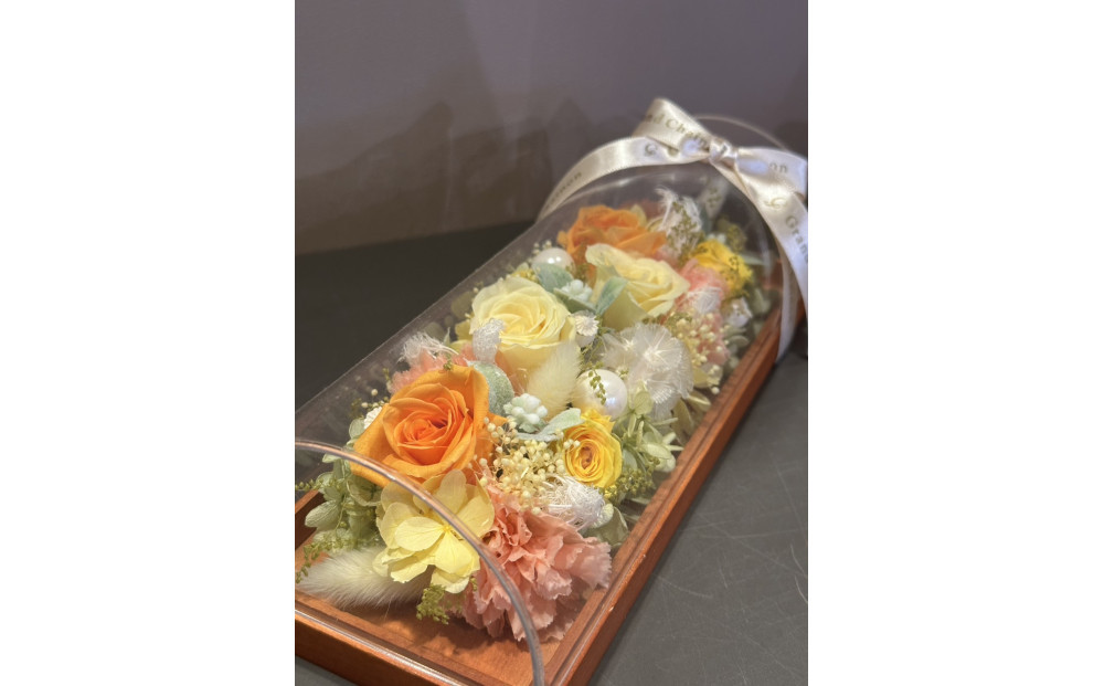 繝峨Ν繝√ぉ 繝輔Λ繝ッ繝シ繧「繝ャ繝ウ繧ク繝。繝ウ繝医宣サ濶イ縲