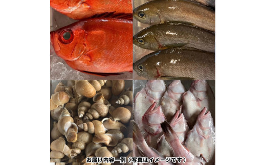季節のおさかな、おまかせセット！3K相当