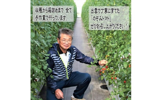 高糖度フルーツトマト糖度8以上