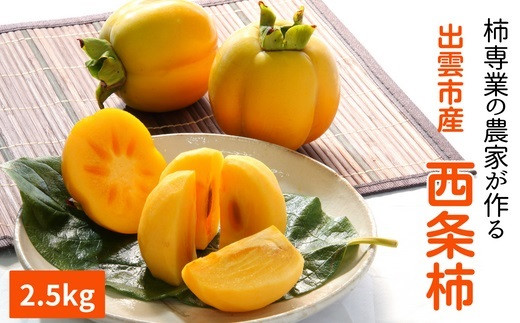 【柿専業の農家が作る】出雲産西条柿　2.5kg