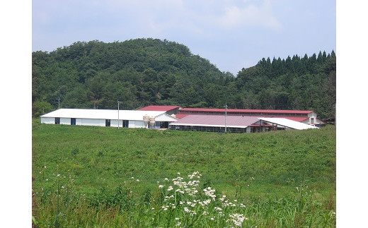藤増 しまね和牛肩ロース スライス 550ｇ【冷凍】
