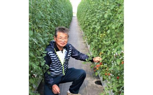 【定期便3回】出雲から希トマトジュース5本セットを毎月お届け！