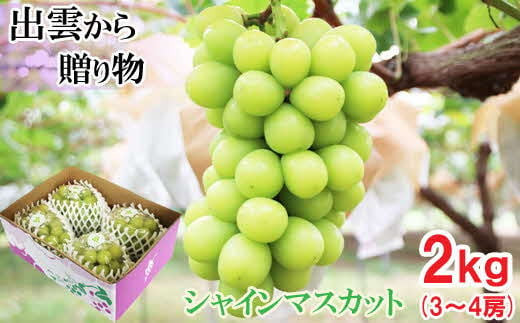 【2026年9月下旬以降発送】[農家直送]厳選シャインマスカット2kg箱[持田農園]